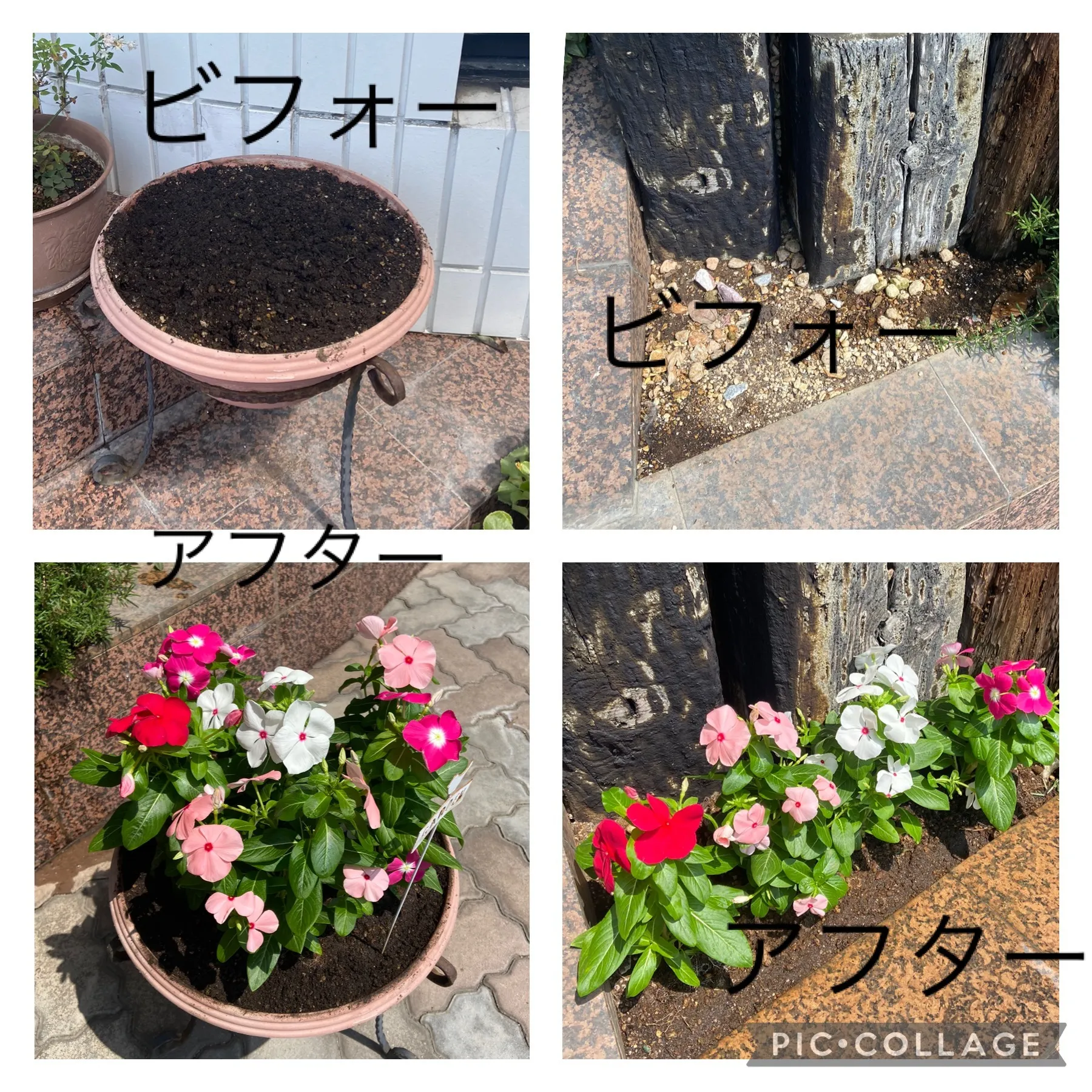 熊本市エステワム　花壇