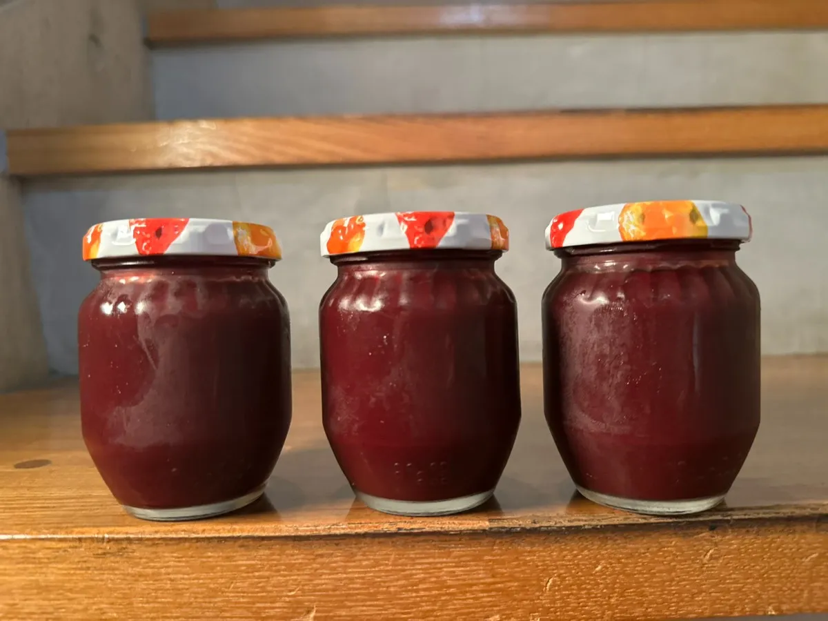 鹿児島　エステＷＡＭ　すもも