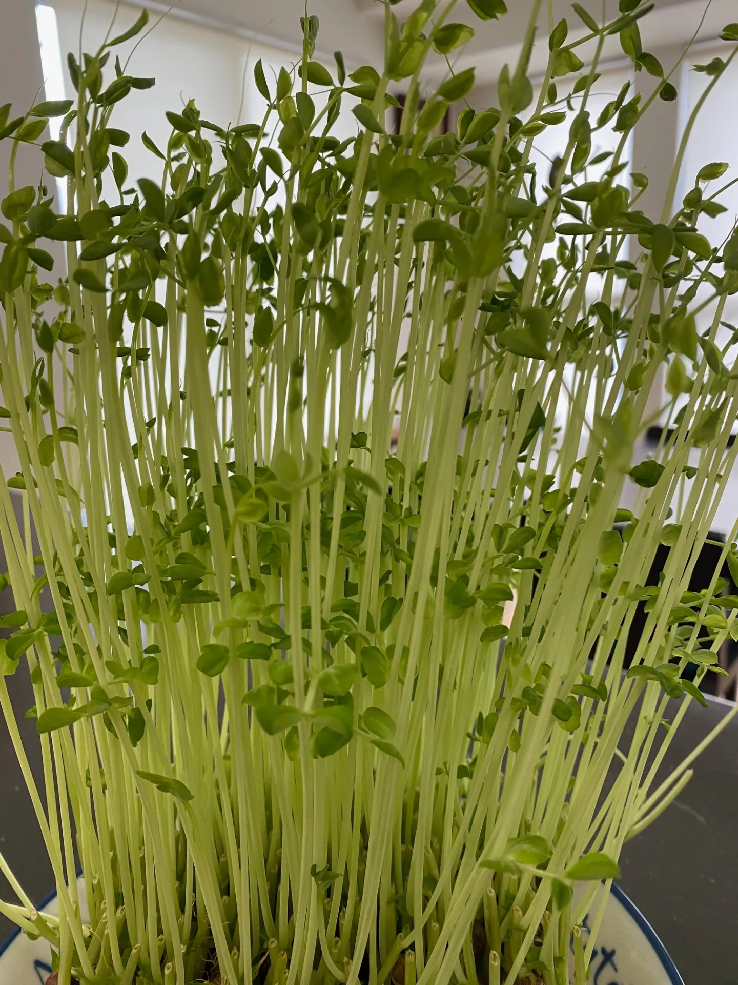 エステWAM　健康