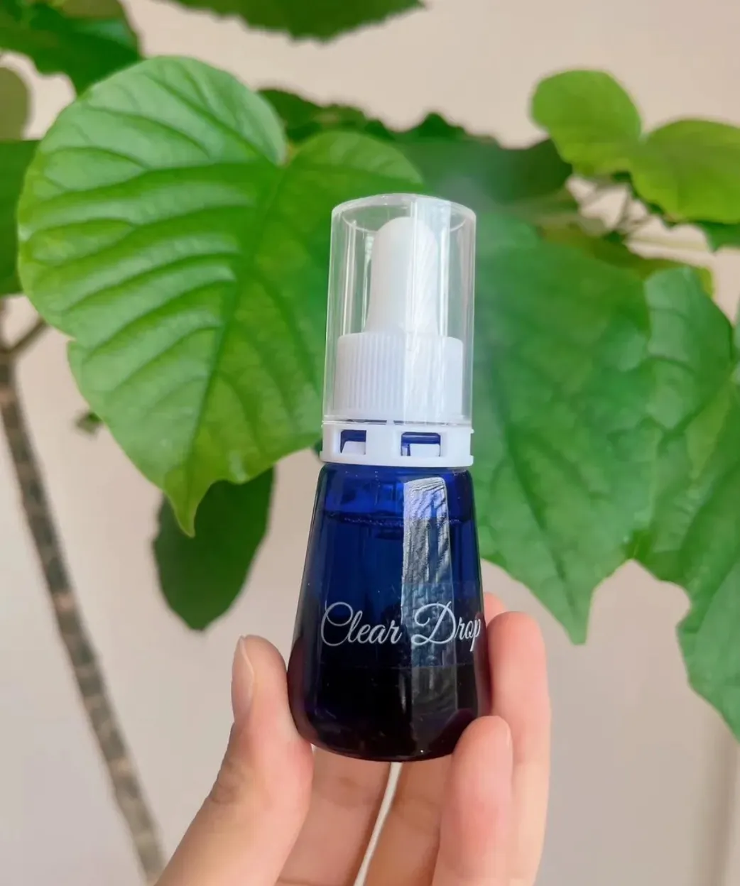 宮崎市エステ　クリアドロップ