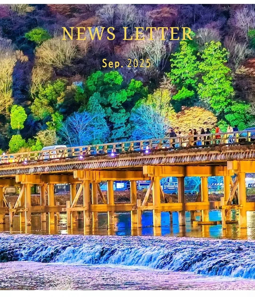 宮崎市エステ　ニュースレター