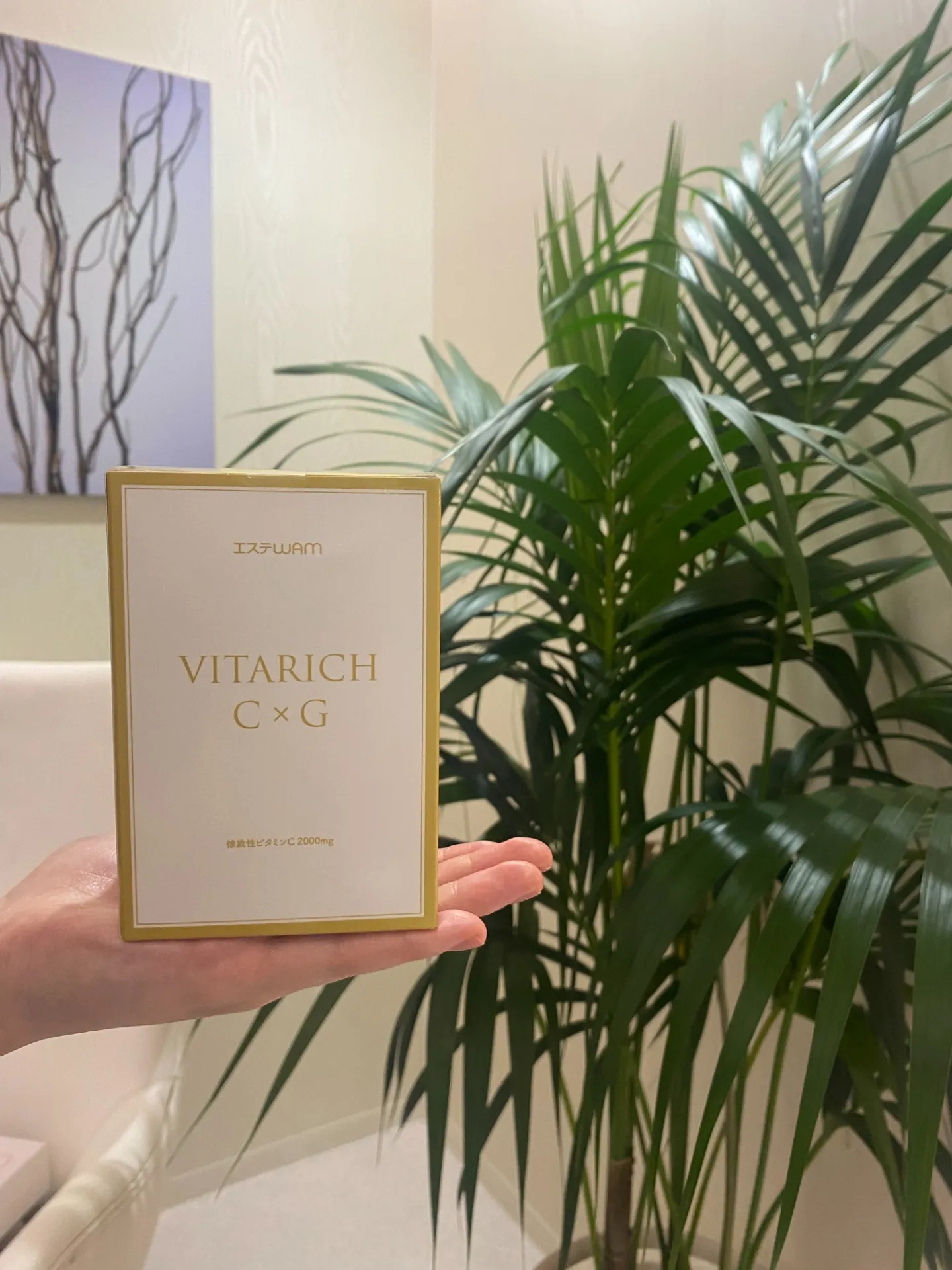 新製品　ビタリッチC×G