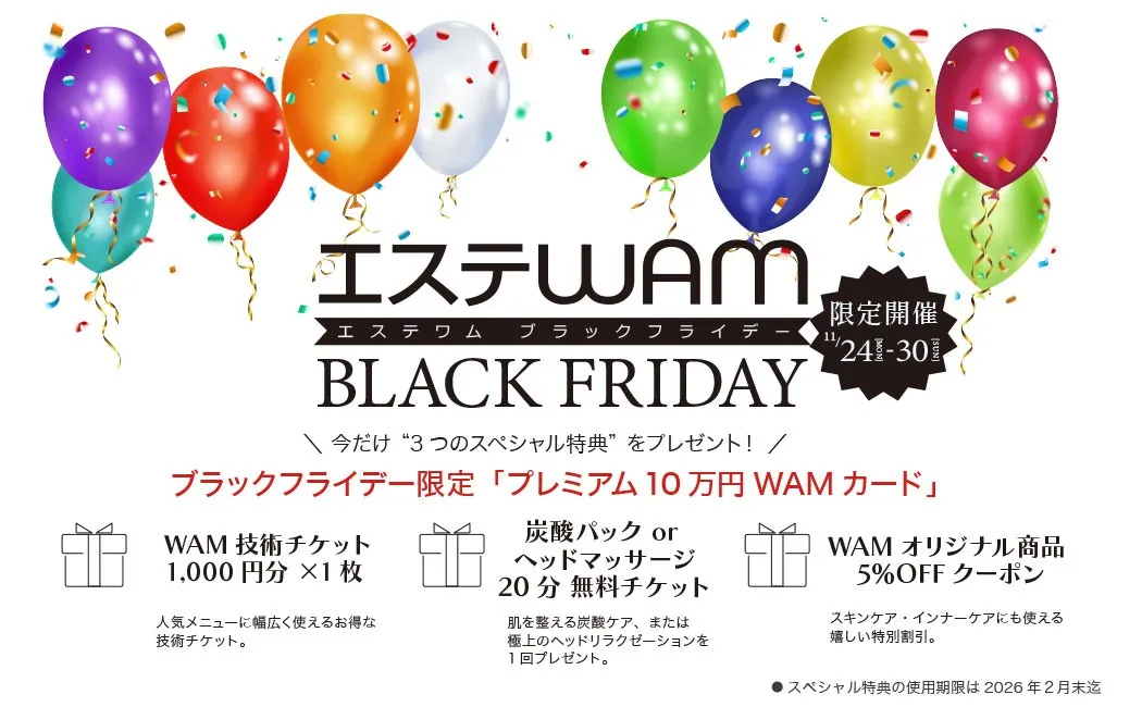 ブラックフライデー開催中✨