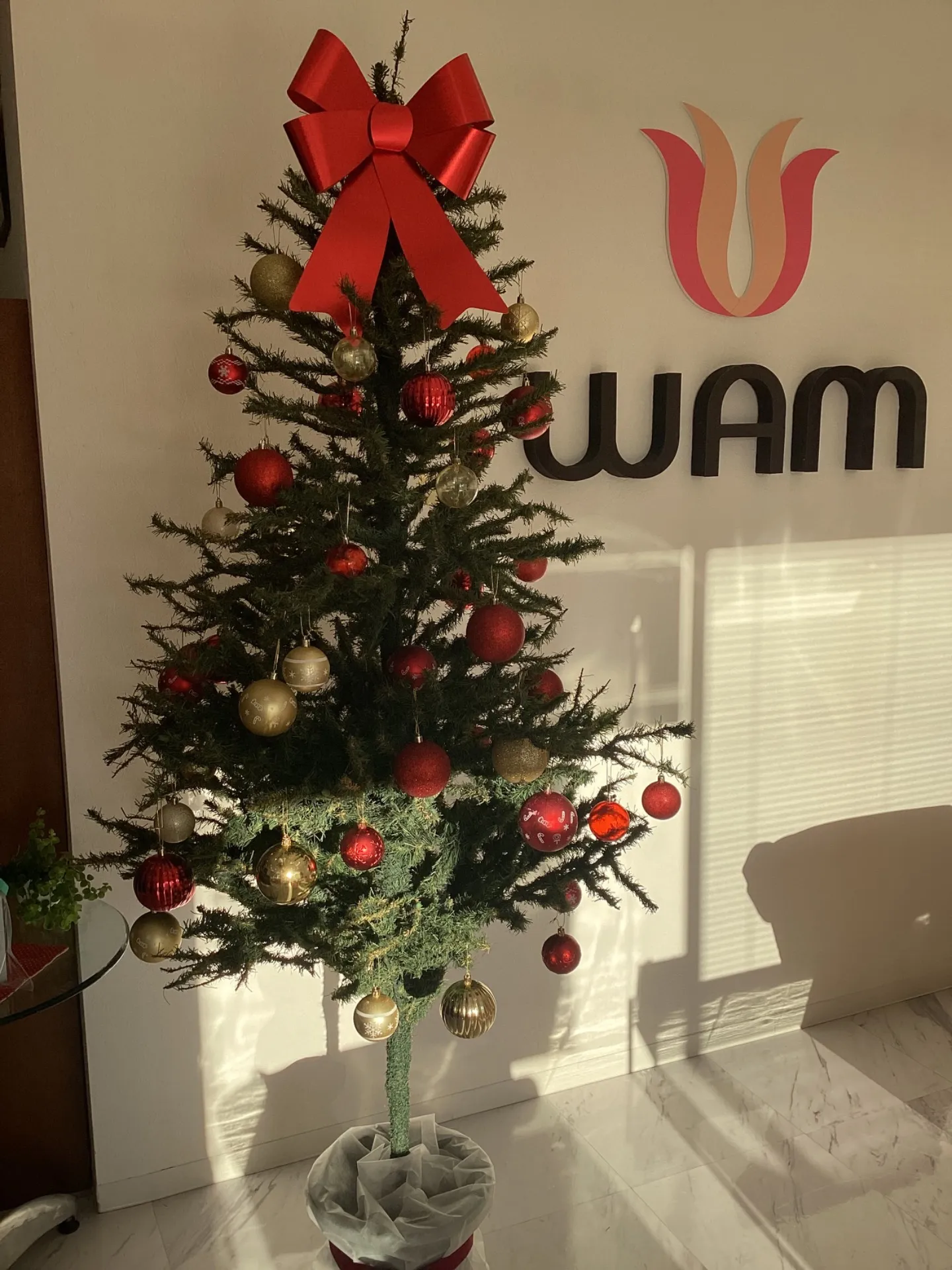 宮崎市エステ　クリスマスツリー