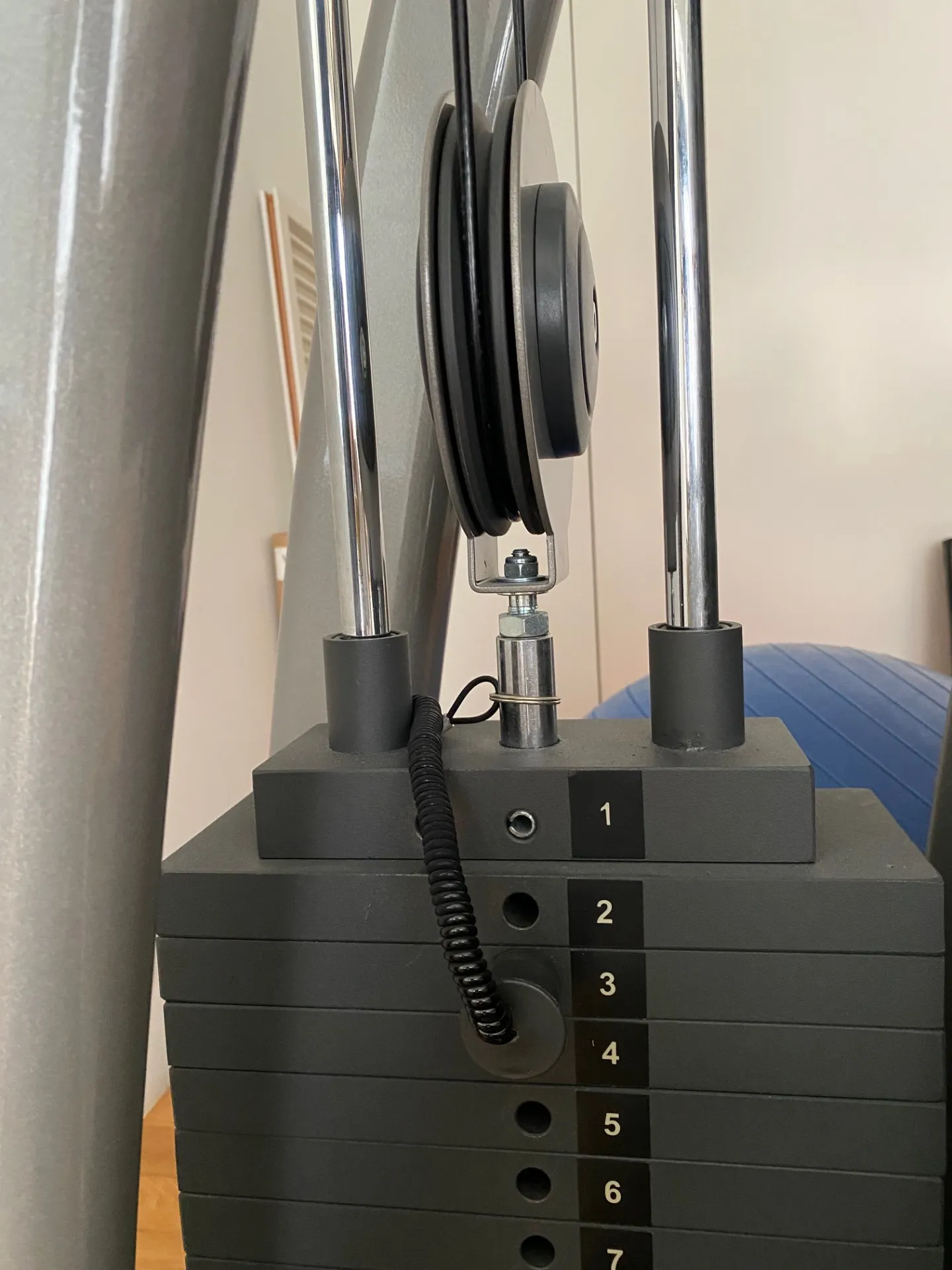 エステWAM　筋トレ