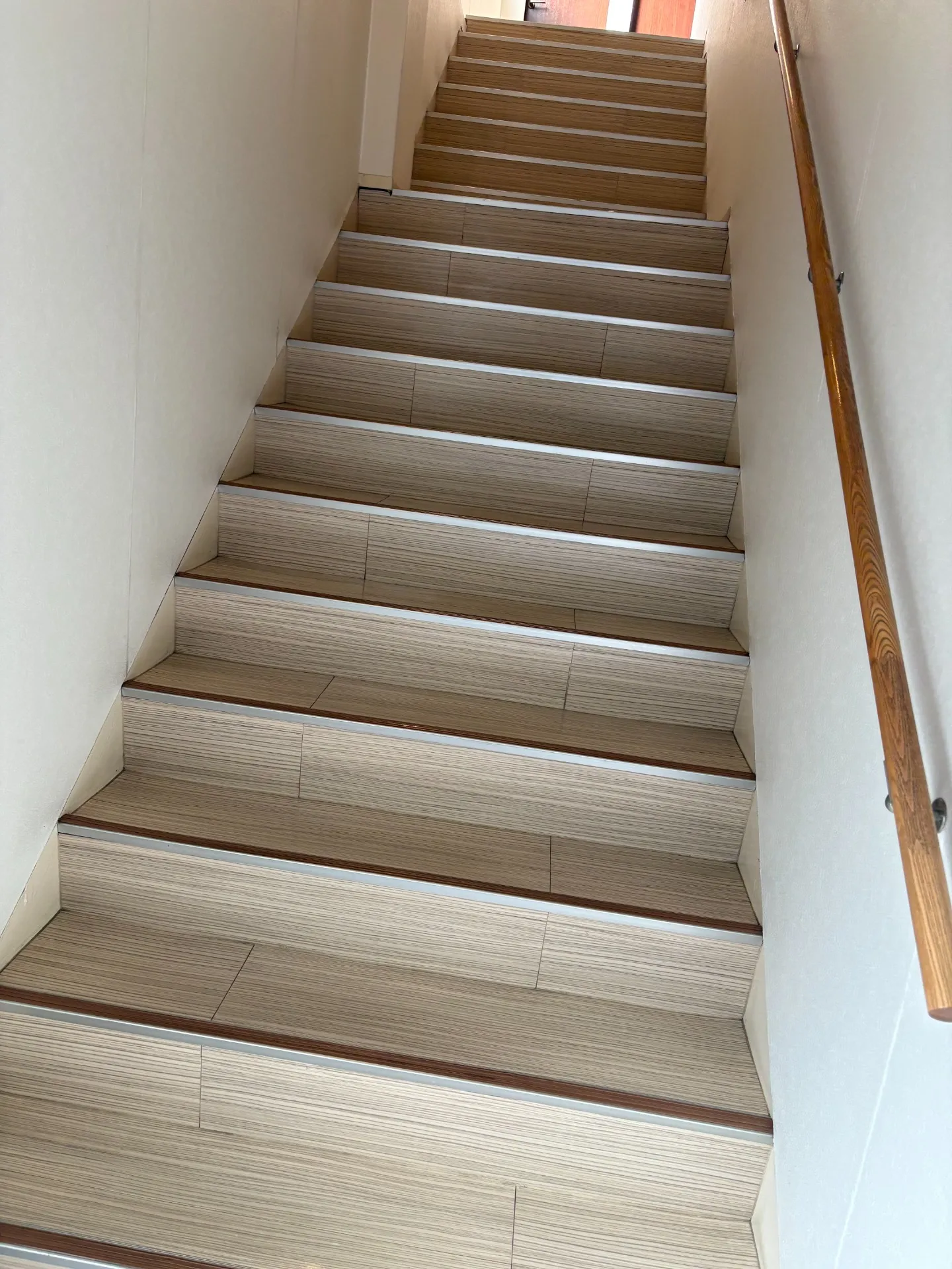 タンパク質　筋肉　筋トレ　熊本