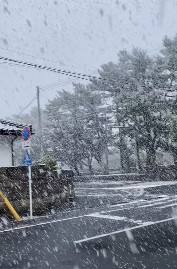 エステWAM　健康美容