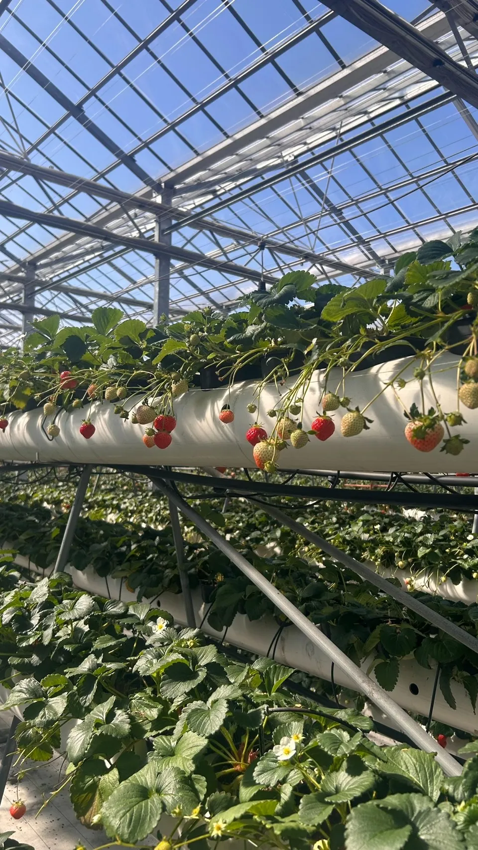 熊本エステ　若さを保つために