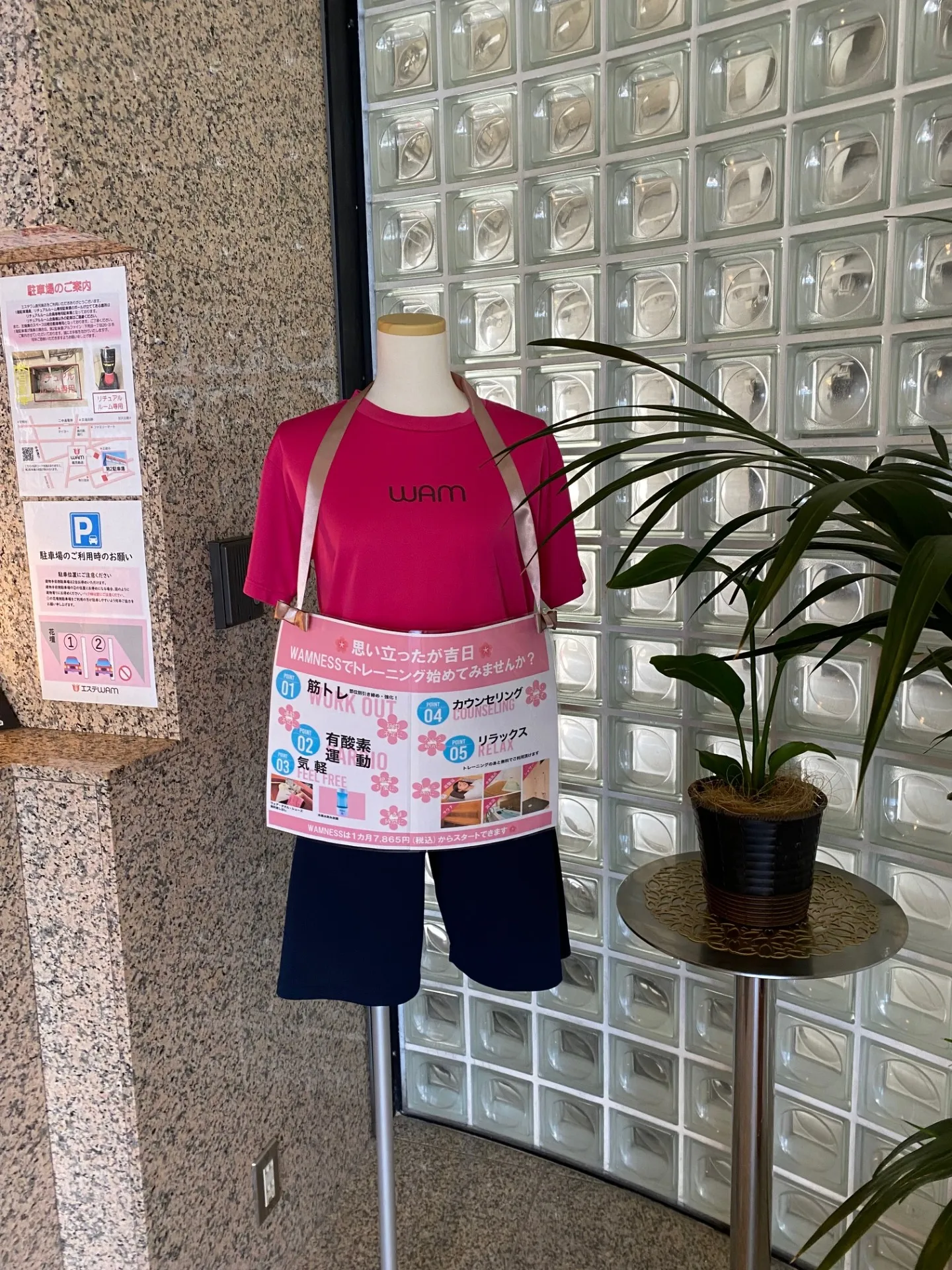 エステWAM　トレーニングウェア