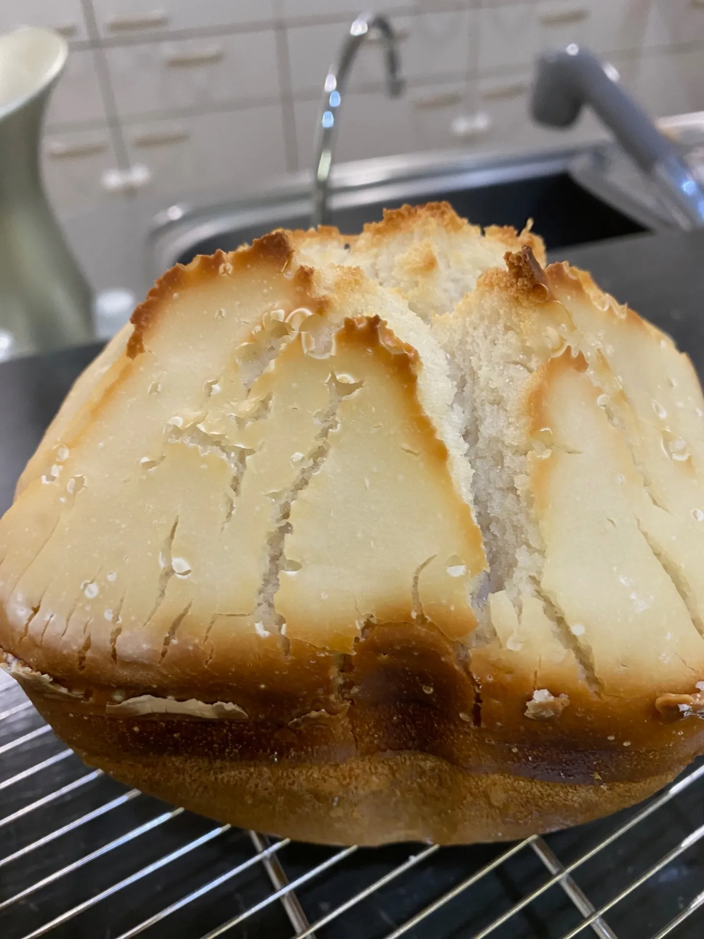 エステWAM　腸活