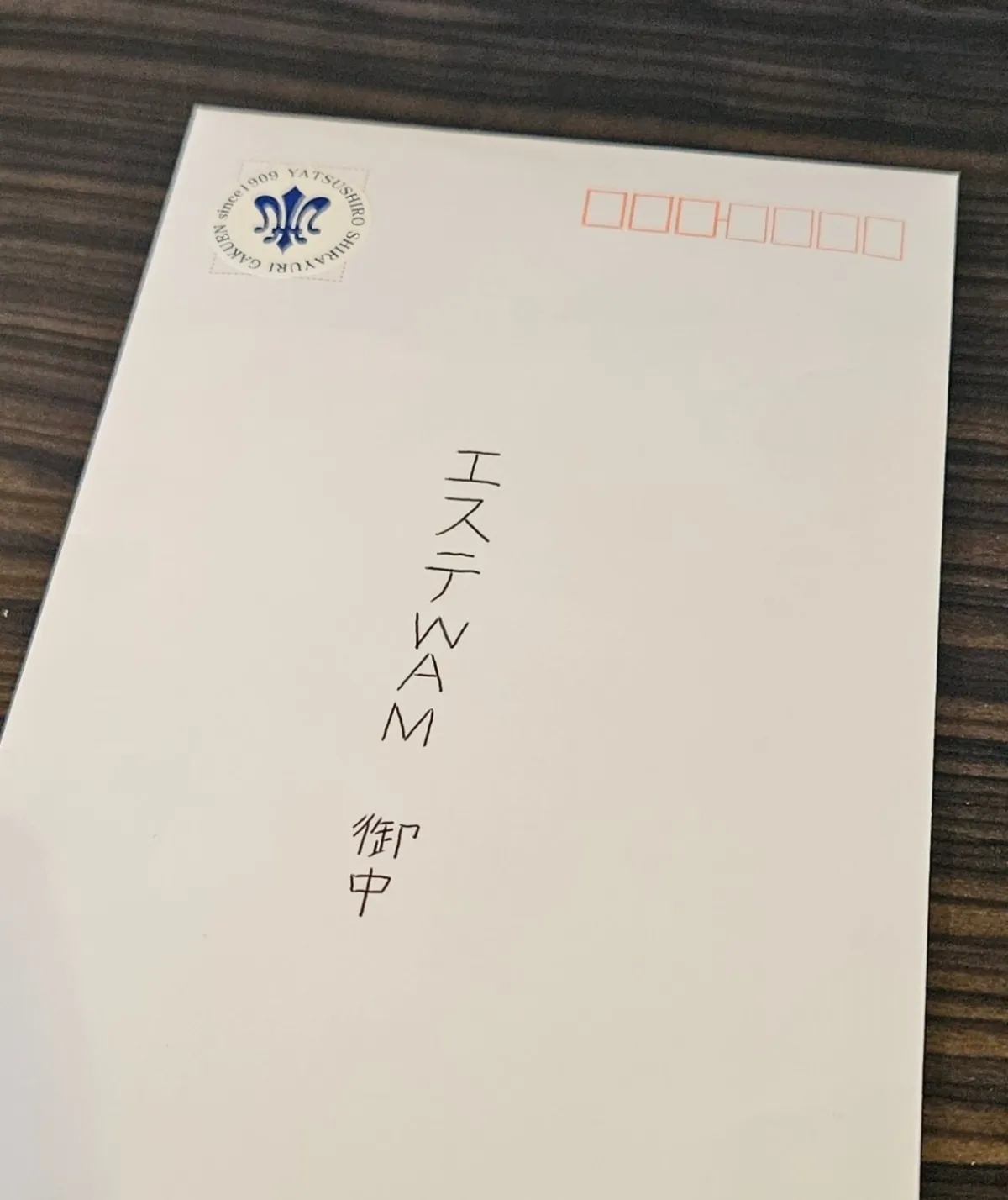 未来のエステティシャン✨