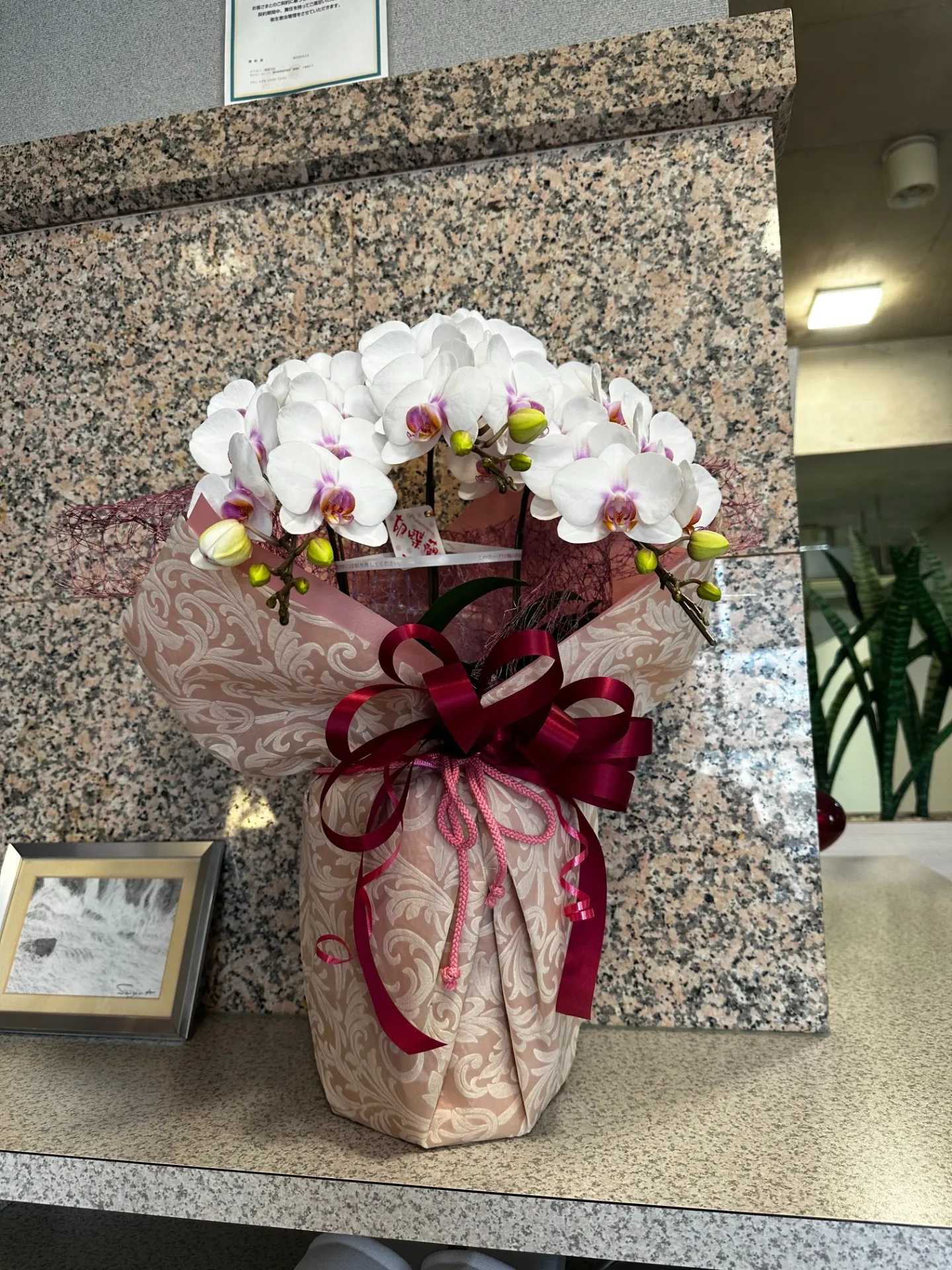 エステＷＡＭ　鹿児島　素敵なお花