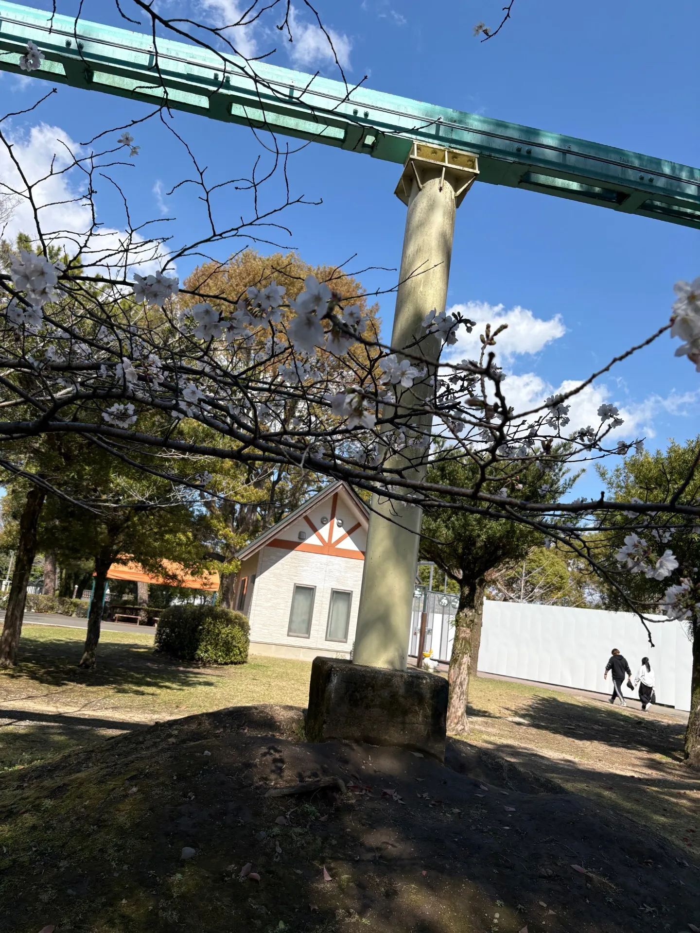 エクソソーム　熊本市　エステ