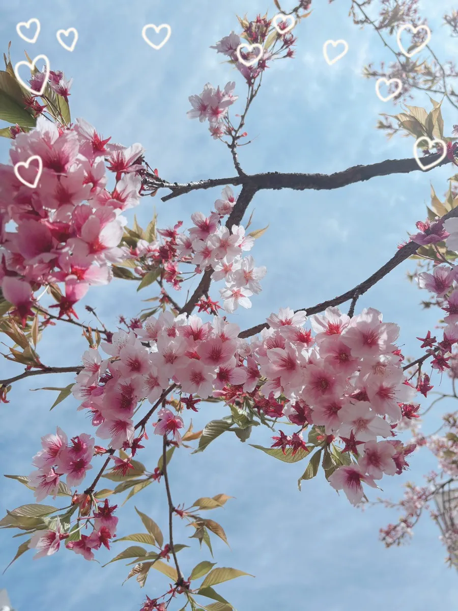 ニュースレター４月号はお読みいただけましたか？