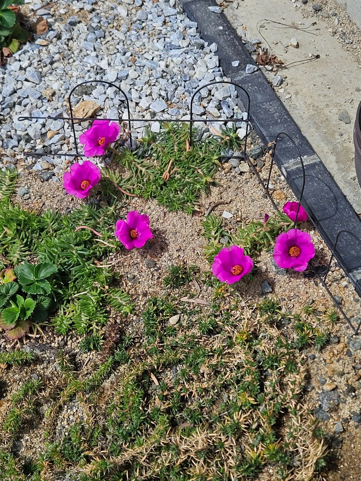 安心安全な高品質日焼け止め🌞✨