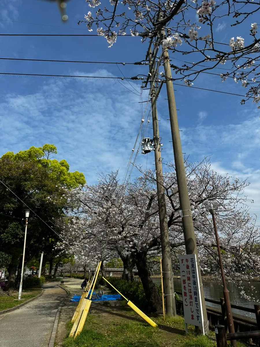 エステ　WAM　桜の季節