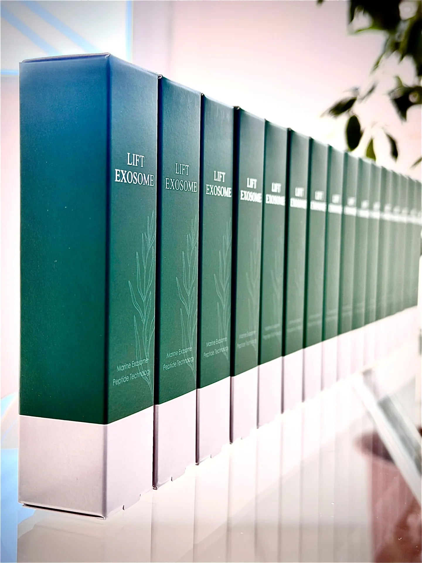 エステWAM　新製品