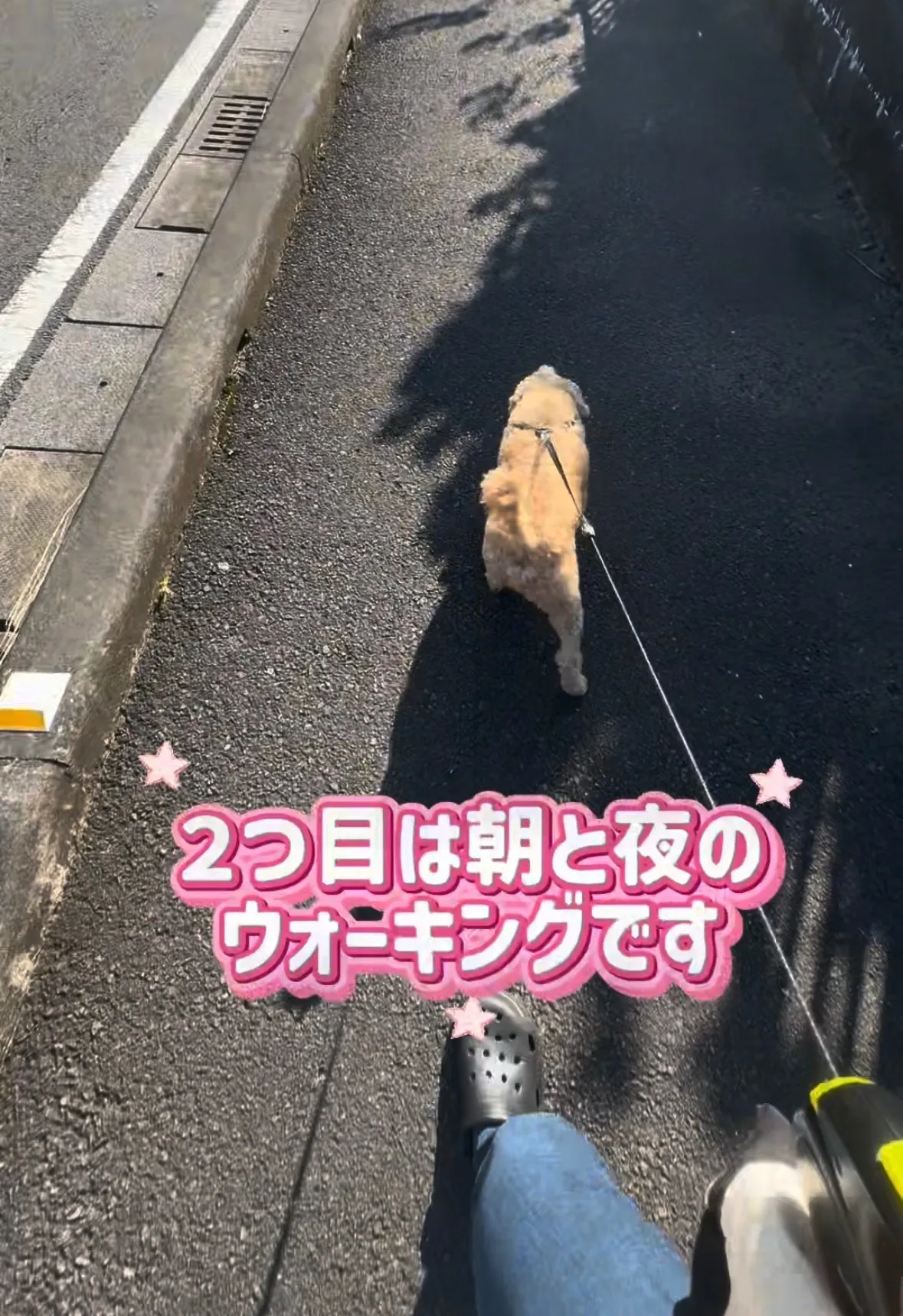 100日間ダイエット 60日経過😙❤️
